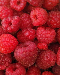 Raspberry Powder - Leathium