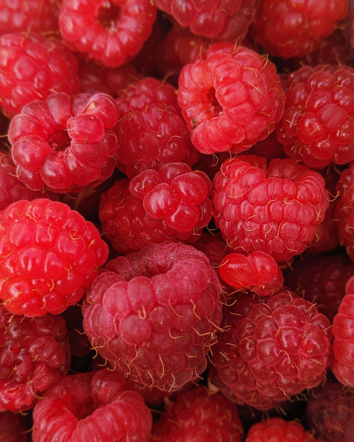 Raspberry Powder - Leathium